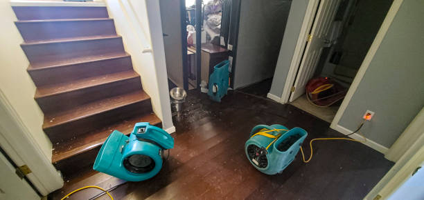 Best Flooded house restoration  in Old Town, ME