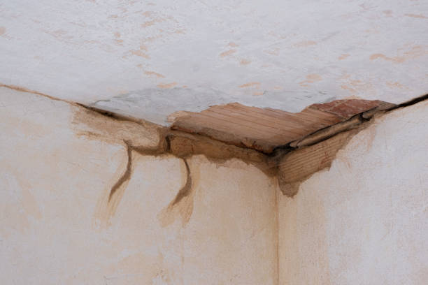 Best Sewage cleanup and water damage restoration  in Old Town, ME