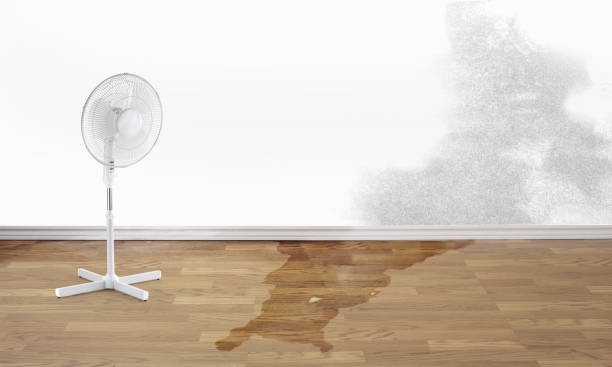 Best Water damage contractors near me  in Old Town, ME