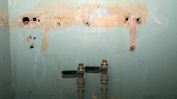 Best Water damage restoration insurance claims  in Old Town, ME