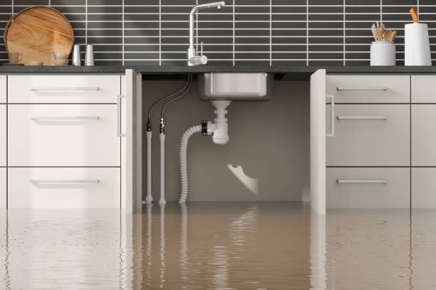 Best Flooded house restoration  in Old Town, ME