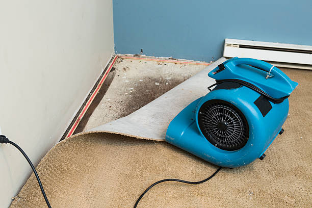 Water damage restoration insurance claims in ME